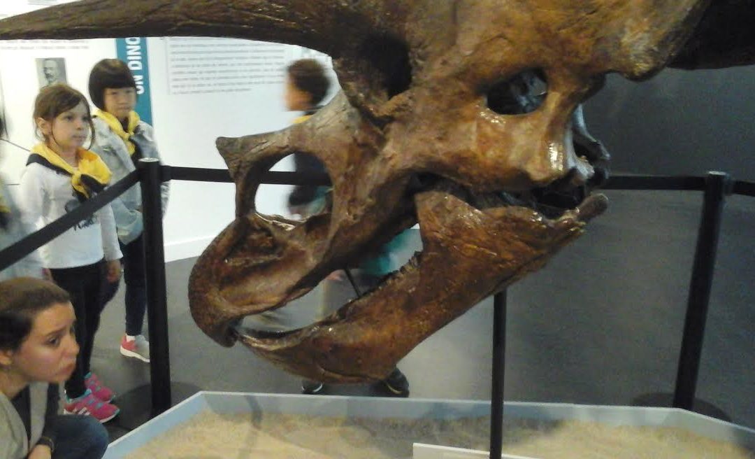 Visita al Museu dels Dinosaures