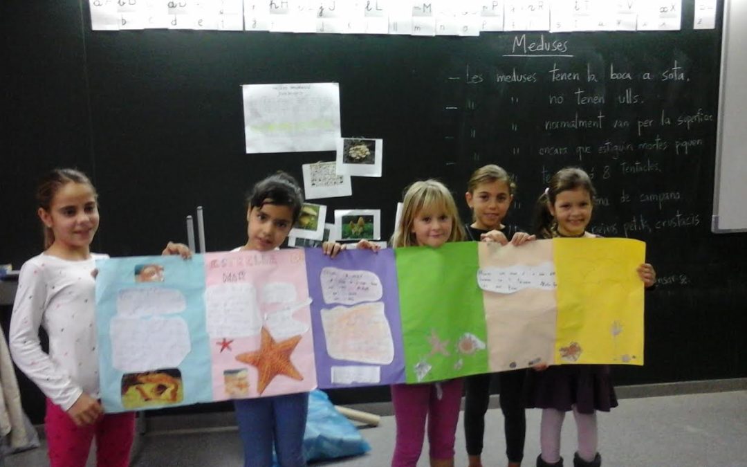 Projecte dels animals marins