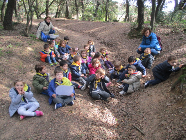 Sortida de tardor P3