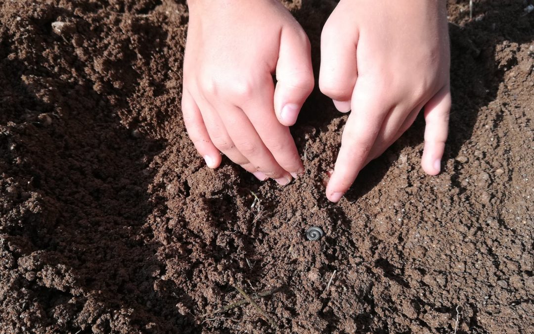 Taller de l’hort