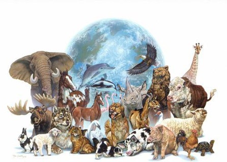 Projecte “Animals en perill d’extinció”
