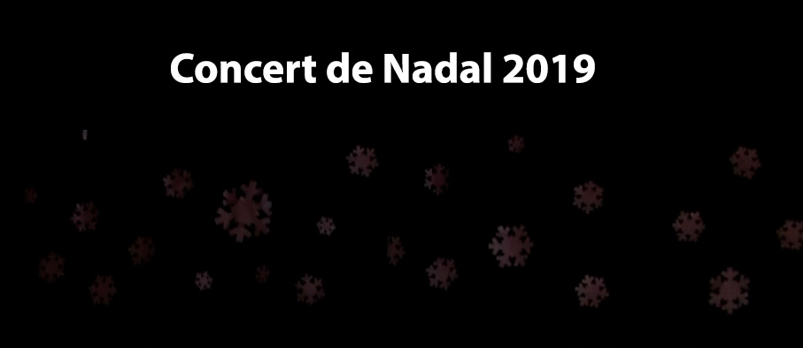 Videos Concert de Nadal 2019