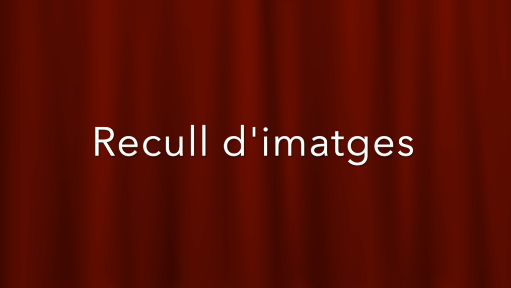 Recull d’imatges de 3r – curs 20-21