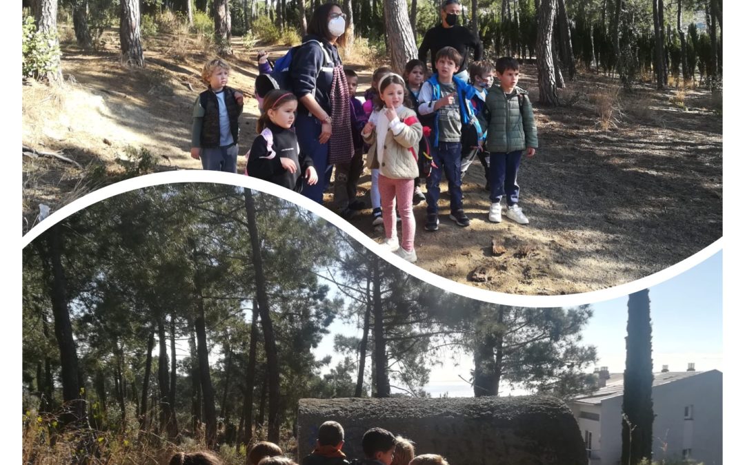 Excursió al bosc