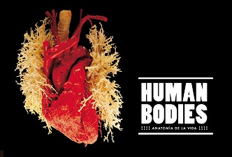 Visita a Human Bodies