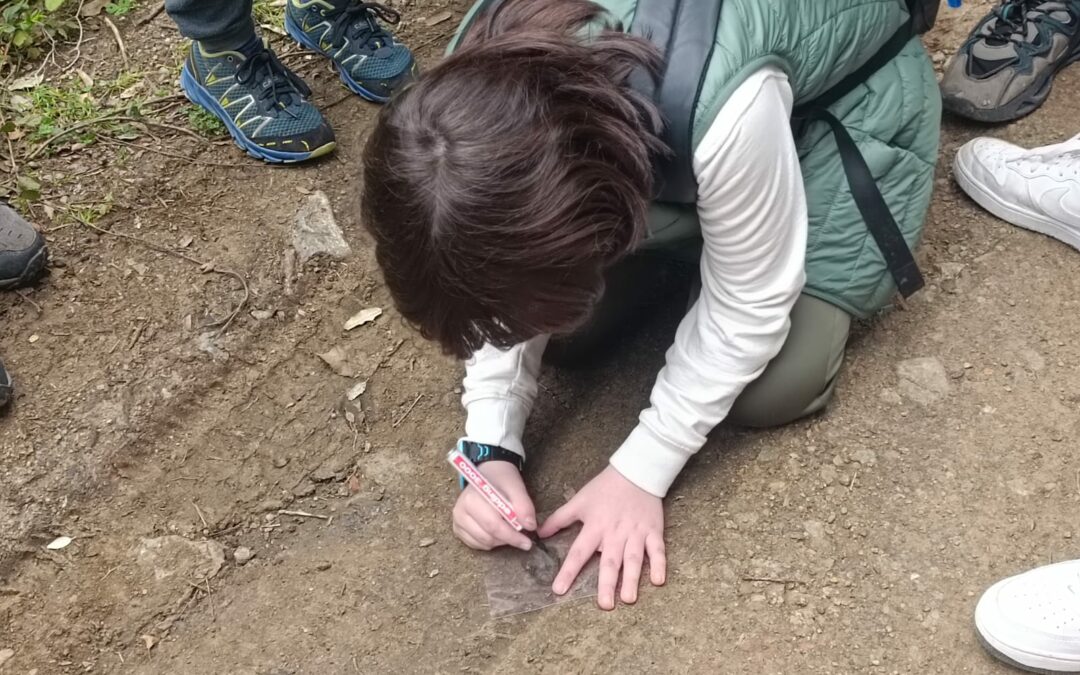 Sortida al Montnegre