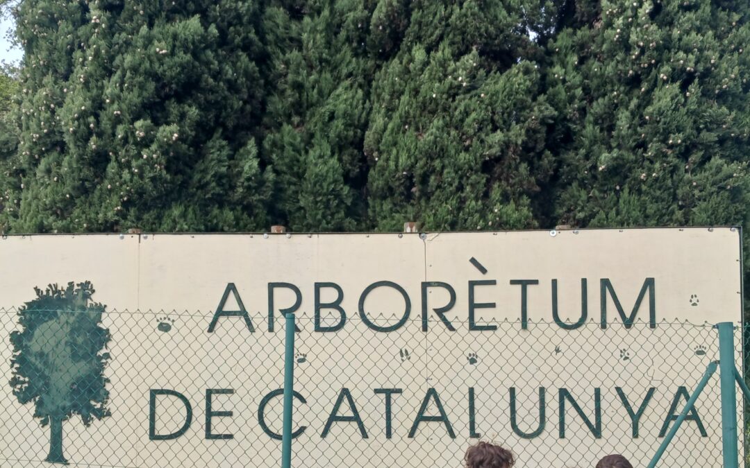 Sortida Arboretum – Infantil